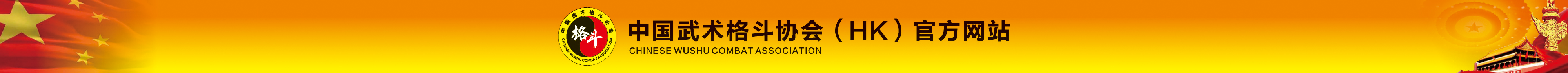 中国武术格斗协会